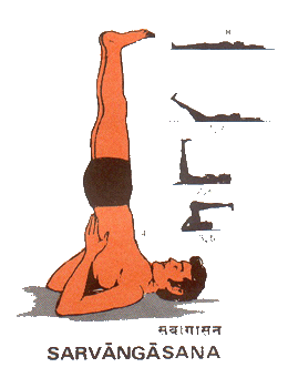 Sarvangasana