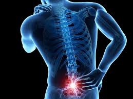 Back Pain Ayurvedic Home Remedies