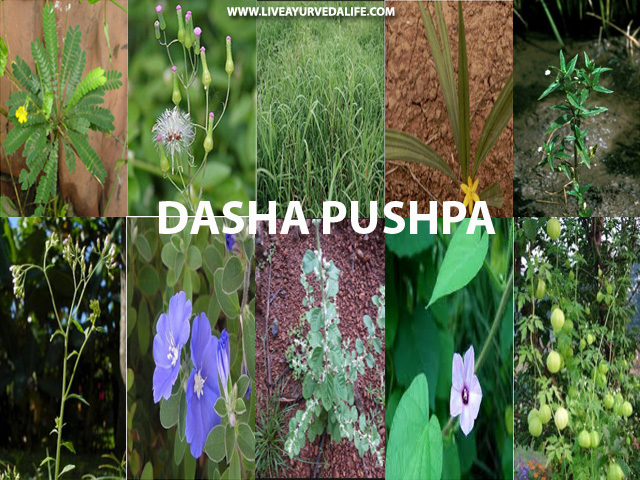 Dasha Pushpa (Ten Flowers) & Its Medical Importance