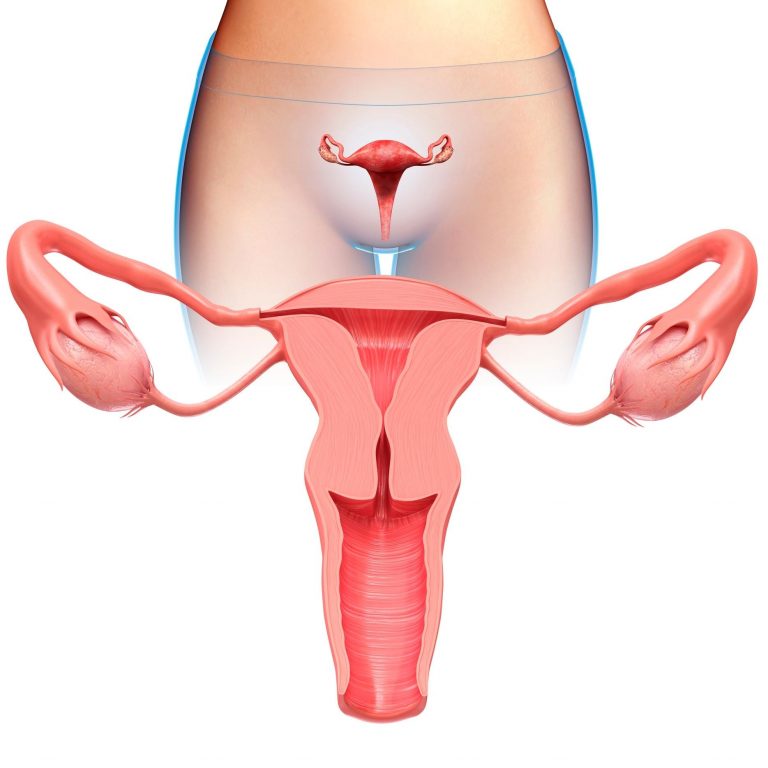 Leucorrhea treatment in Ayurveda